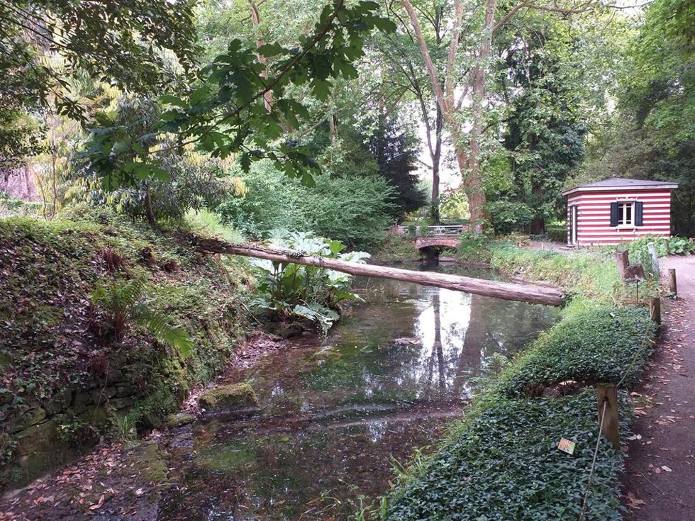Archivo - Jardín Botánico Atlántico de Gijón