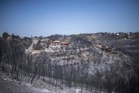 Agents Rurals ven "intencionalidad" en el origen del incendio de Pont de Vilomara (Barcelona)