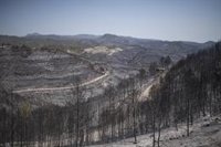 Los Bombers repasan el perímetro del incendio de Pont de Vilomara (Barcelona)