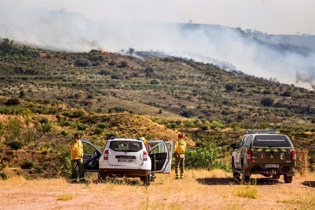 Varios bomberos observan de lejos el incendio provocado en Chiloeches, a 19 de julio de 2022, en Chiloeches, Guadalajara, Castilla La Mancha (España). El incendio en Chiloeches ha pasado a ser declarado de nivel 2 por posible afección a bienes de naturale