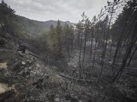 El riesgo de incendio en Navarra sigue siendo extremo a pesar de la bajada de las temperaturas