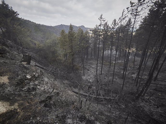 Imagen de archivo de un incendio en Navarra.