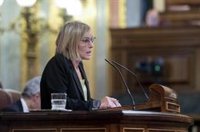 PNV lamenta que el Gobierno "ponga muchos palos en la rueda" al traspaso de las competencias pendientes