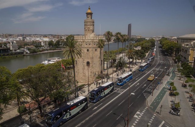 Archivo - Autocares del sector del transporte en autobús discrecional y turístico en Sevilla