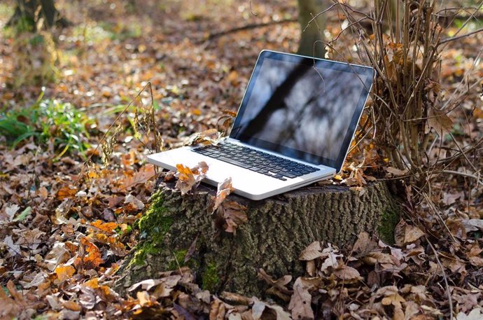 Ordenador, conexión, fibra, internet, wifi, trabajo, campo, conectividad, red, medio rural