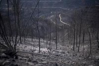 2022 ya es el segundo peor año de la década por hectáreas arrasadas, más de 73.000, y por grandes fuegos, 12