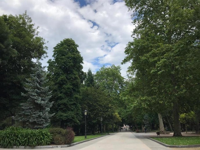 Archivo - Campo San Francisco.