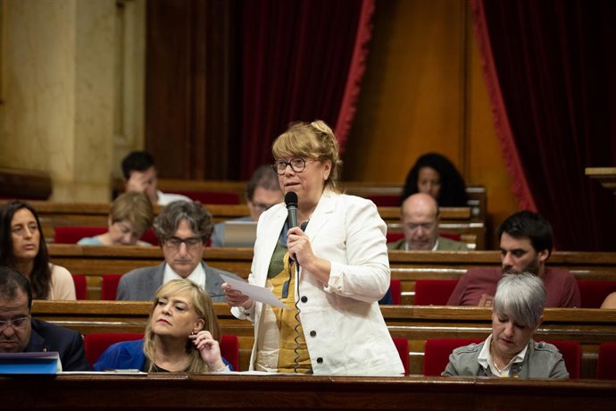 La consellera de Cultura, Natlia Garriga