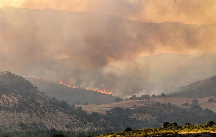 Vista general del incendio de Valdepeñas de la Sierra, a 19 de julio de 2022, en Valdepeñas de la Sierra, Guadalajara, Castilla La Mancha (España). 