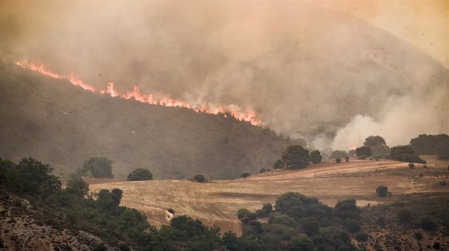Vista general del incendio de Valdepeñas de la Sierra, a 19 de julio de 2022, en Valdepeñas de la Sierra, Guadalajara, Castilla La Mancha (España). 