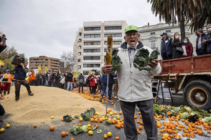 Archivo - Varios agricultores tiran coles y naranjas como protesta, en una concentración por la supervivencia del campo valenciano, en la Plaza San Agustín, a 25 de febrero de 2022, en Valencia