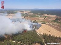 Estabilizado un incendio forestal en Requena (Valencia)