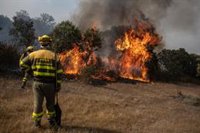 El Gobierno convoca a los sindicatos para hablar del Estatuto Básico de Bomberos Forestales