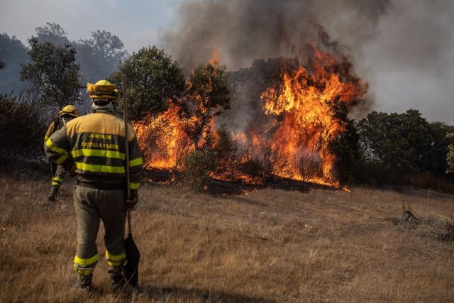 Varios bomberos trabajan en la extinción del fuego del incendio de Losacio, a 18 de julio de 2022, en Pumarejo de Tera, Zamora, Castilla y León (España).