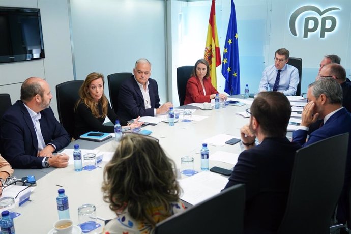 El líder del PP, Alberto Núñez Feijóo, preside la reunión del Comité de Dirección del PP.