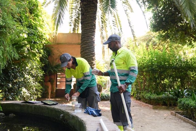 Trabajadores municipales monitoreando la actividad de mosquitos.