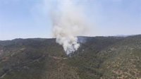 Infoca y bomberos de Córdoba sofocan un incendio forestal declarado en el Lagar de la Cruz