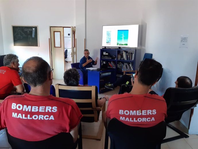 Archivo - Bomberos del Consell de Mallorca recibiendo una formación por parte de Endesa