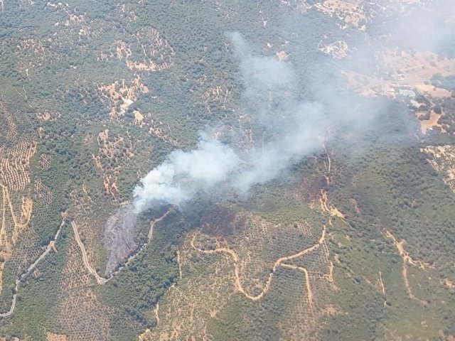 Imagen aérea del incendio en el Lagar de la Cruz desde el avión ACO.