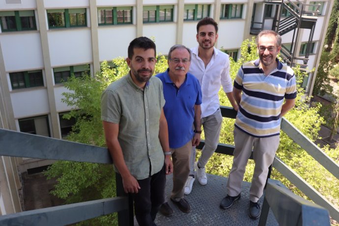 De izquierda a derecha, los investigadores de la UCO Pedro Antonio Gutiérrez, César Hervás Martínez, Miguel Díaz Lozano y Antonio Manuel Gómez Orellana.