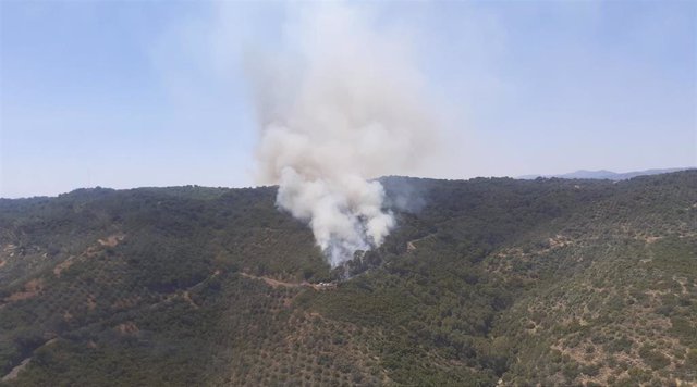 Paraje del Lagar de la Cruz, donde se ha declarado el incendio en la Sierra de Córdoba.