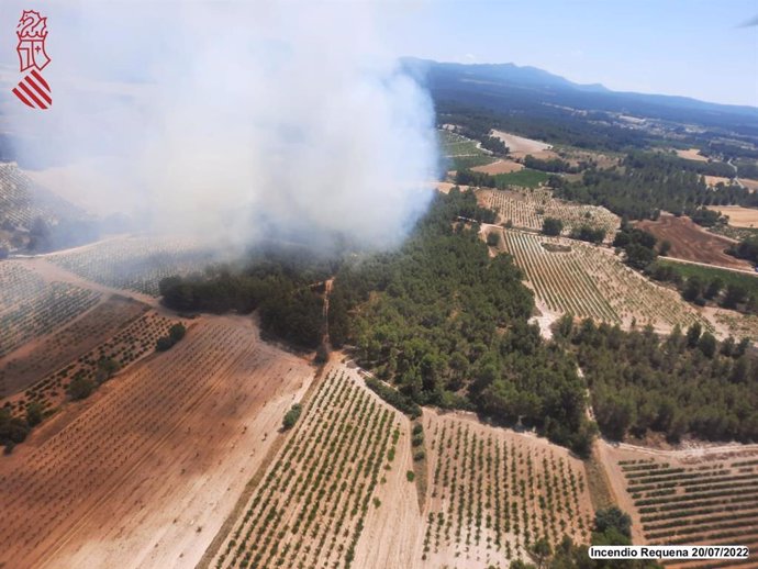 Incendio forestal en Requena (Valencia)