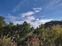 El tiempo en Extremadura para hoy jueves, 21 de julio de 2022