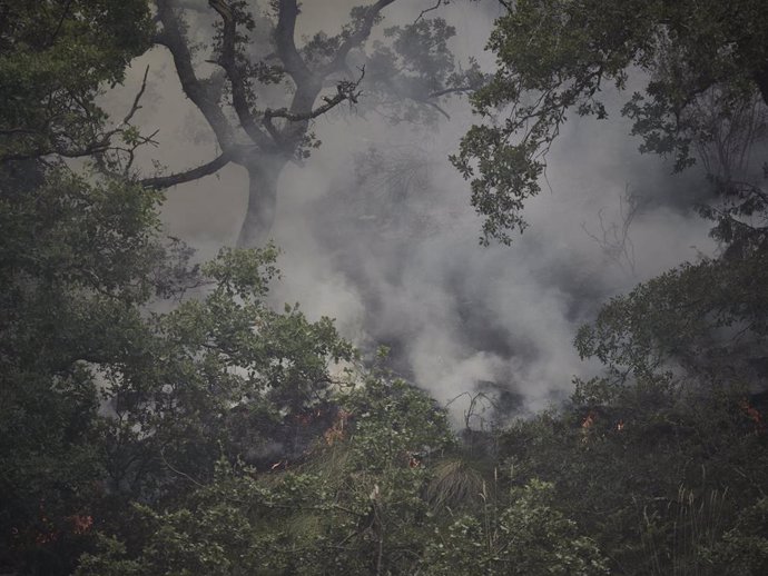 Imagen de archivo de uno de los incendios que afectaron a Navarra el pasado mes de junio.