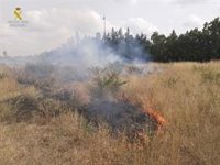 La Guardia Civil detiene al presunto responsable de varios incendios en La Safor