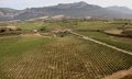 Bodegas García de Olano (Páganos)