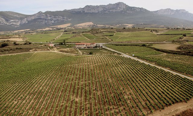 Bodega Rioja Alavesa