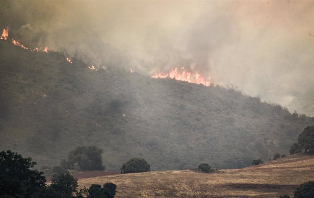 Vista general del incendio de Valdepeñas de la Sierra, a 19 de julio de 2022, en Valdepeñas de la Sierra, Guadalajara.