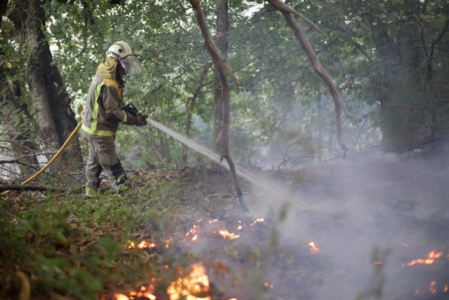 Un bombero trabaja en la extinción del fuego de Folgoso do Courel (Lugo).