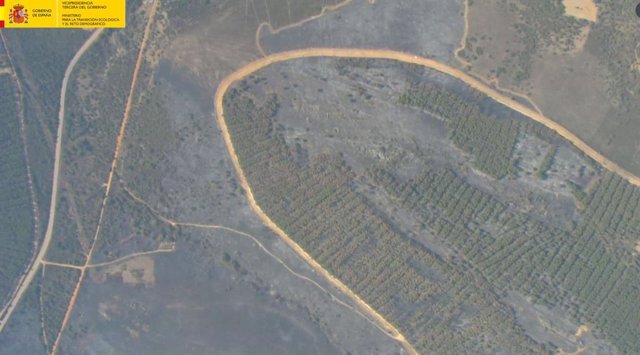 Imagen aérea del incendio forestal de Losacio (Zamora).