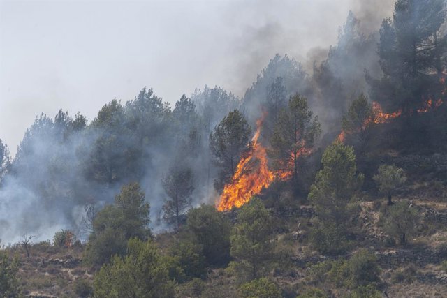 Vista general de l'incendi del Pont de Vilomara i Rocafort