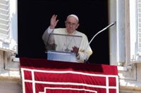 El Papa afirma que es "urgente" destinar más dinero para "la conservación de la biodiversidad"