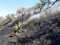 Bomberos del CEIS y Protección Civil controlan un incendio de vegetación junto al cementerio de Moratalla