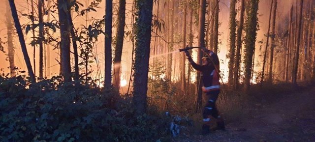 Un bombero durante las labores de extinción de un incendio en el Monte Areo, en Gijón