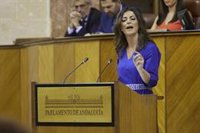 Vox ofrece "mano tendida" a Moreno desde una oposición "leal y firme" pero sin "cheques en blanco"