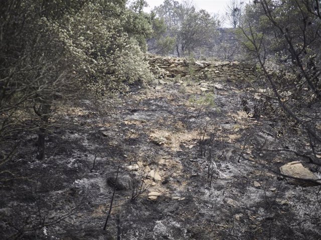 Imagen de archivo de una de las zonas afectadas por los incendios de junio en Navarra.