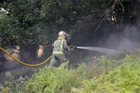 El Gobierno se compromete con los sindicatos a llevar el Estatuto de los Bomberos Forestales al Congreso en septiembre