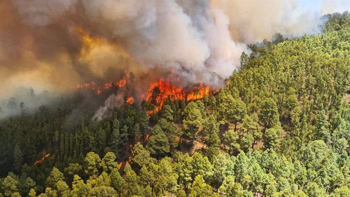 Incendio de Los Campeches, en Los Realejos