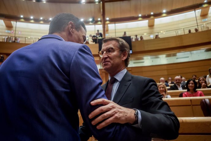 Archivo - El presidente del Gobierno, Pedro Sánchez (i), y el líder del PP, Alberto Núñez Feijóo (d), se saludan en una sesión plenaria en el Senado