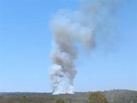 Movilizados cinco medios aéreos en un incendio forestal declarado en Aznalcóllar (Sevilla)