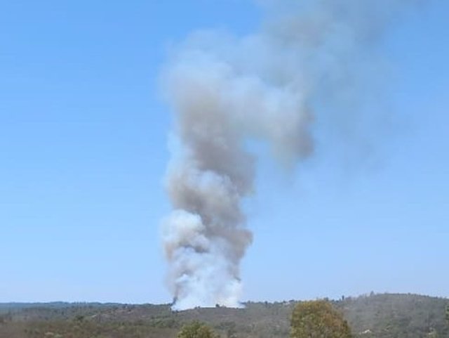 Incendio forestal declarado en Aznalcóllar.