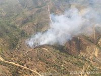 Ascienden a 13 los medios aéreos del incendio forestal de Aznalcóllar (Sevilla), con dos focos activos