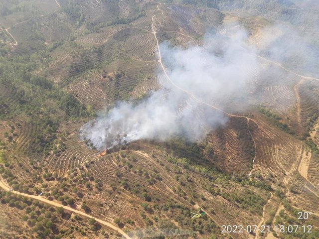 Vista área del incendio declarado en Aznalcóllar, en concreto del foco sur, tomada desde el helicóptero Gremaf.