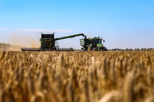  Una cosechadora recoge los cultivos de grano en un campo de la región de Odesa, al sur de Ucrania.