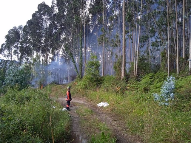 Incendio en el Monte Areo, Gijón