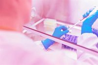 La llegada de la pandemia redujo en un 8,8% el negocio de las empresas de alta tecnología en España en 2020